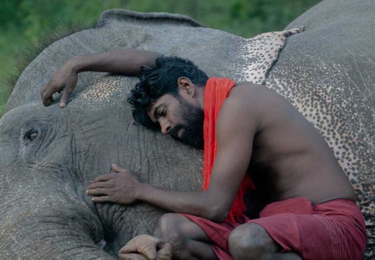 sri lanka tour itinerary