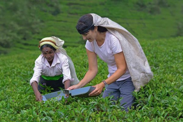 tour packages to sri lanka