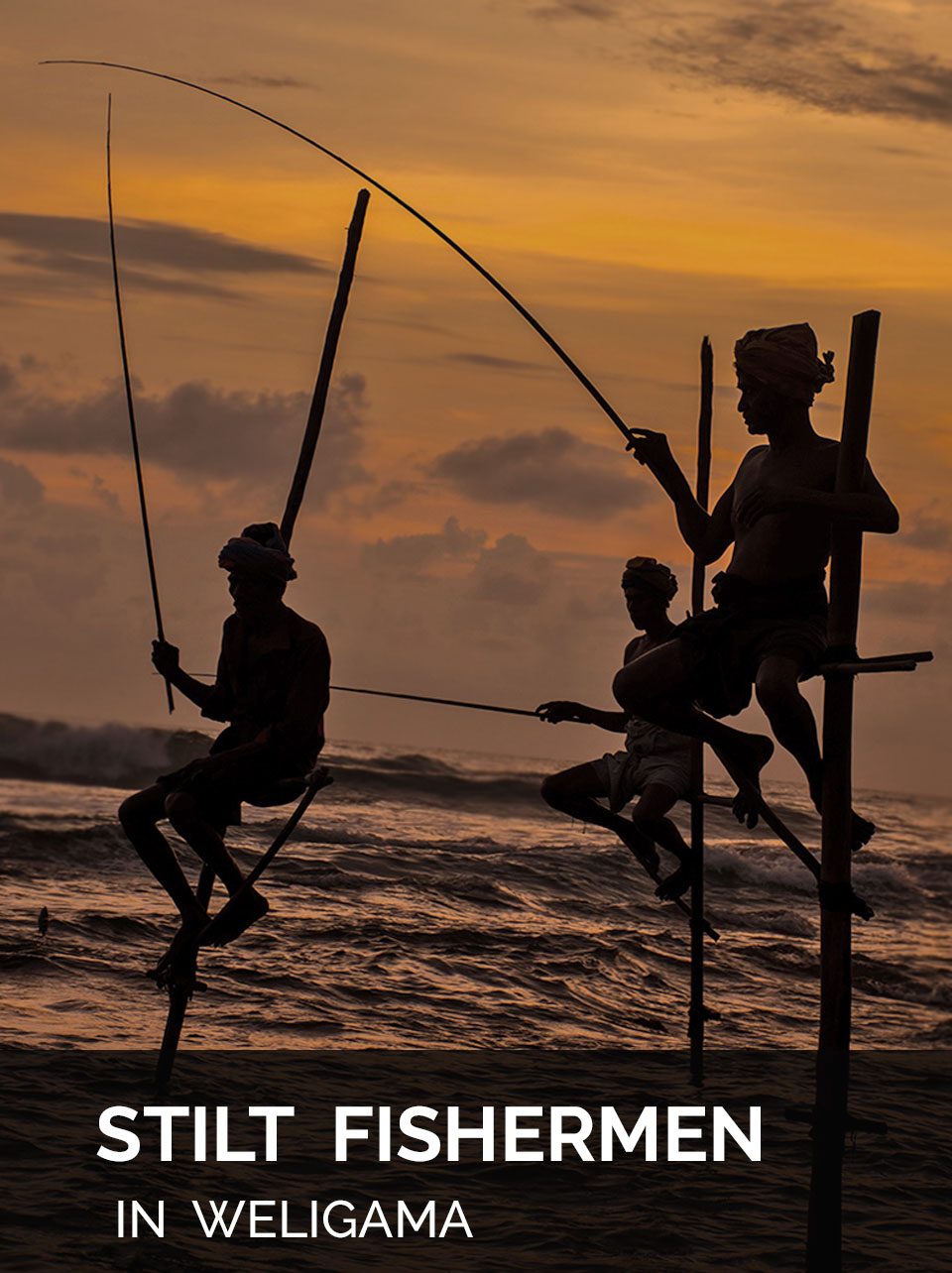 Photo Tour Sri Lanka