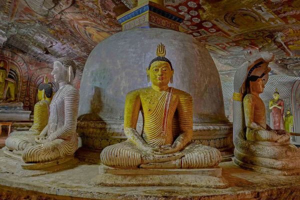 swnwwwbbCP021-EXE10Gbw