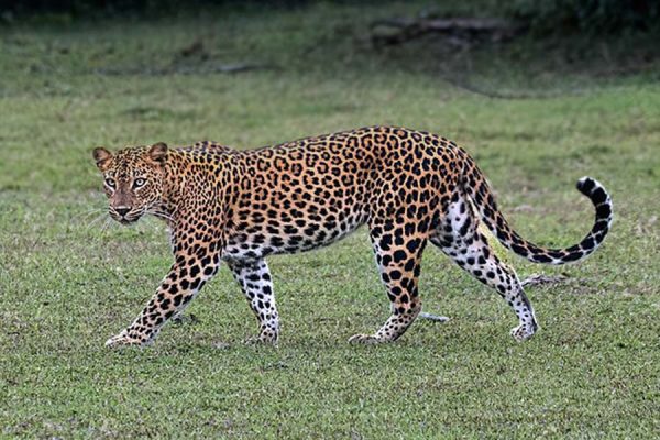 tour packages to sri lanka